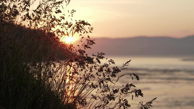 Sunset at strong tidal current Saltstraumen in Norway with grass in the foreground
