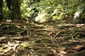 Réunion 6