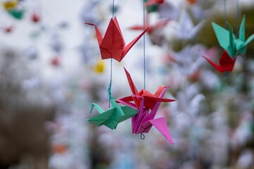 Cranes hung on a square as a symbol of peace on the 77 Anniversary of the Hiroshima Bombing