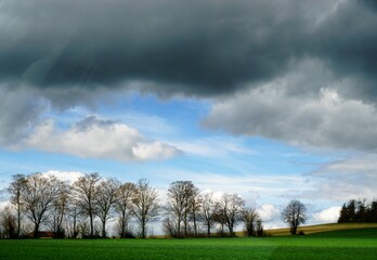 Obraz premium Grüne Landschaft Panorama mit Wiese und Baumreihe vor Himmel mit grauweißem Wolkengebilde bei Sonne und Regen am Abend im Frühling