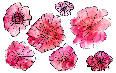 Obraz premium Pink flowers with watercolor blur. The black outline is drawn in ink. Flowers isolated on white background 