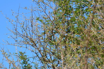 Corrientes Humedales.