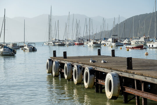 Two seagulls sitting on a wooden dock, Golfo dei Poeti (Gulf of Poets), Lerici, La Spezia, Liguria, Italy