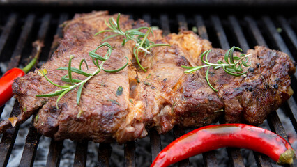 Beef steaks cooking on the charcoal grill with chili pepper, tomatoes, garlic and mushrooms for bbq sauce.