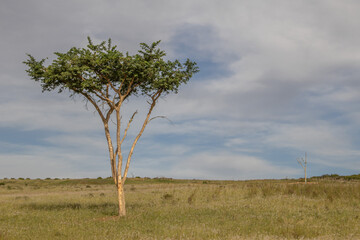 Landschaft in Swellendam