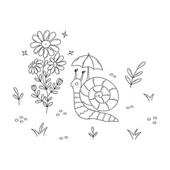 Snail in field next to sprig of chamomile. Clam with striped shell and umbrella over head. Black and white vector isolated illustration hand drawn. Spring and summer season