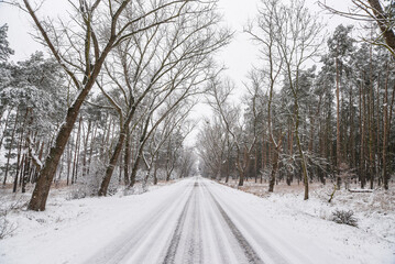 Obraz premium Winter landscape. Snowy road.