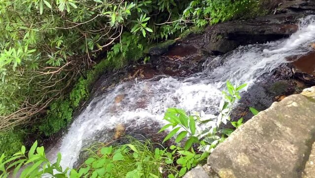Cascade falls (waterfalls) of Gully Creek and Cumberland Knob Trail on the Blue Ridge Parkway in North Carolina. Delightful mountain stream and plants that live along its cool, damp banks.