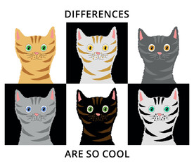 Śmieszne koty na czarno-białym tle. Portrety różnej maści sześciu kotów. Ilustracja różnic, różnice są fajne. Kolorowy rysunek wektorowy z kotami. Kolorowe kotki - 592382472
