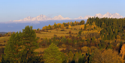 Slovakia ,High Tatras , pleso, lake, forest, 