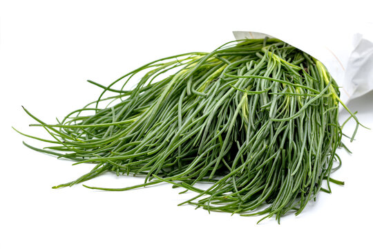opposite-leaved saltwort vegetable also known as friar beard,salsola soda or Agretti on a white background