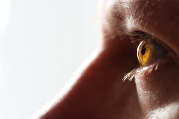 Detail of a surprised human eye, visible iris, man, colours, flash on bright background