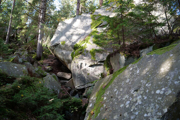 Dovbush Rocks in the forest near Yaremche city, Ukraine
