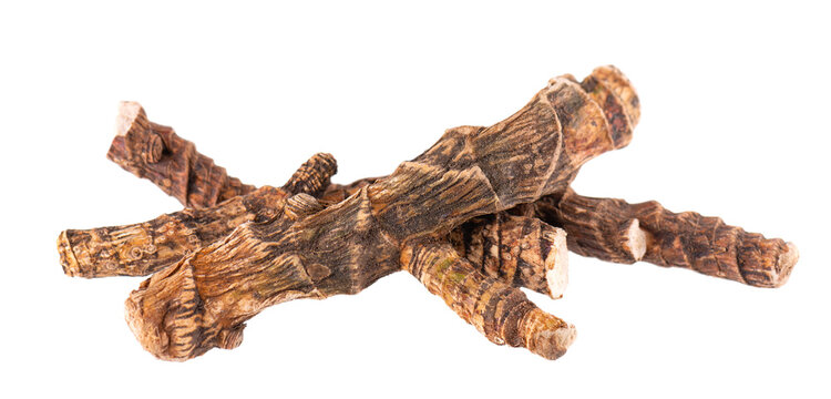 Calamus root isolated on white background. Sweet flag, sway or muskrat root, vasambu. Dry root of Acorus calamus. Top view.