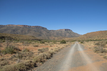 Fototapeta premium Safari im Karoo Nationalpark in Südafrika