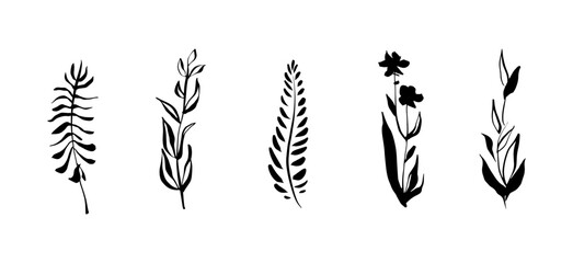 floral botanical line art. mono minimal elements of plants, branches, leaves, flowers. Vector elements for logo or tattoo, wedding invitation save the date card