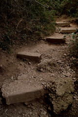 Stairs on trails























































