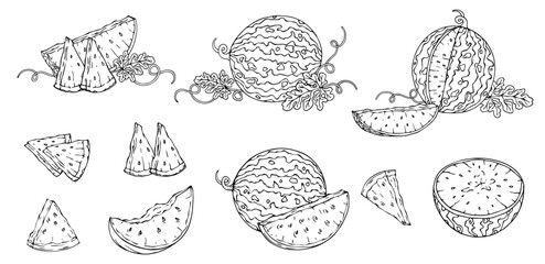 Sketch set of watermelon berries and summer fruit pieces. Cartoon vector graphics.