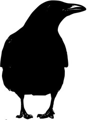 crow silhouette vintage type silhouette logo icon