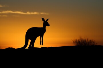 Kangaroo silhouette an sunset. Generative AI.