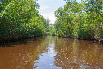 Barra Zacapulco, Acapetahua, Chiapas