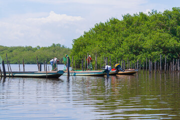 Barra Zacapulco, Acapetahua, Chiapas