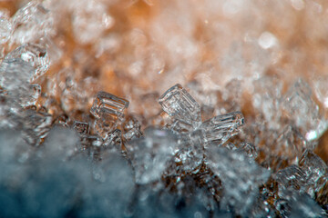 ice crystals on plants, with bokeh