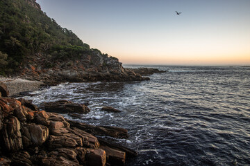 Obraz premium Tsitsikamma Nationalpark in Südafrika