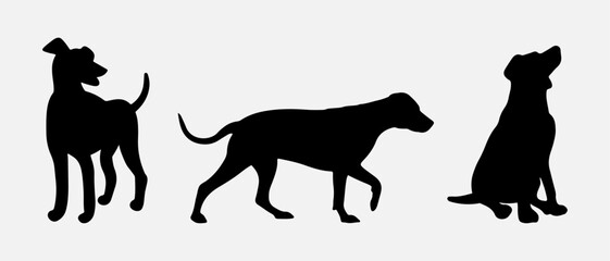 isolated black silhouette of a dog, vector collection
