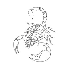 Scorpio one line. Vector drawing.
