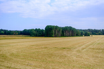 Sweden, landscape.