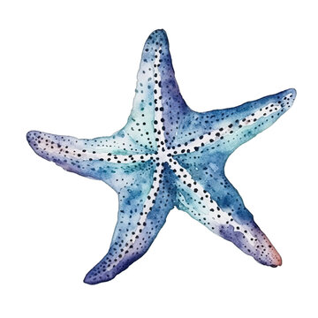 Blue watercolor starfish illustration isolated on transparent background, underwater animals ocean collection. Generative AI