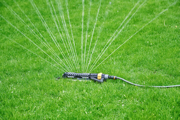 Oscillating sprinkler watering lawn. Garden sprinkler with hose spray and irrigating green grass. Oscillating sprinkler spray water on fresh green lawn grass. Automatic watering system.