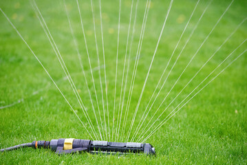 Oscillating sprinkler watering lawn. Spray nozzle for plants. Garden sprinkler with hose spray and irrigating green grass. Oscillating sprinkler spray water on fresh green lawn grass. .
