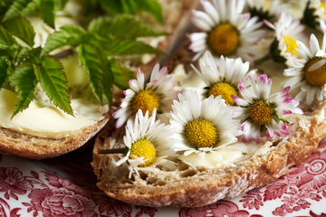 Fototapeta na wymiar Lawn daisy and ground elder on slices of bread, closeup