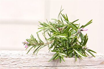 Cutting of rosemary herb on white wooden surface