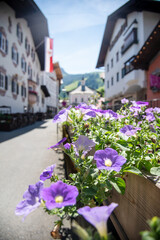 Fototapeta na wymiar Spring flowers in an alpine town of Kitzbuhel with its architecture in Tirol, Austria 