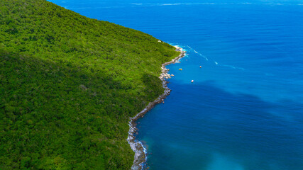 Ilhas Tropicais Natureza Mar Oceano Atlântico Floresta Mata Atlântica Palmeiras Árvores Peixes...