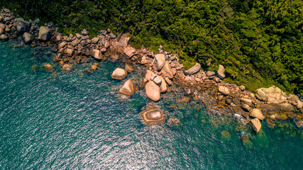 Ilhas Tropicais Natureza Mar Oceano Atlântico Floresta Mata Atlântica Palmeiras Árvores Peixes...