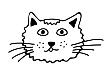 Hand drawn cat muzzle clipart. Cute pet face doodle
