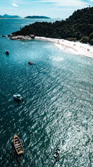 Ilhas Tropicais Natureza Mar Oceano Atlântico Floresta Mata Atlântica Palmeiras Árvores Peixes...