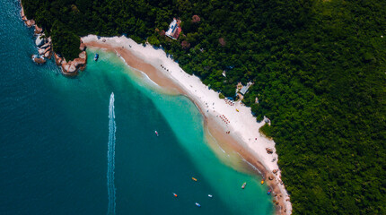 Ilhas Tropicais Natureza Mar Oceano Atlântico Floresta Mata Atlântica Palmeiras Árvores Peixes...