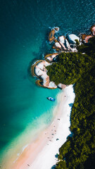 Ilhas Tropicais Natureza Mar Oceano Atlântico Floresta Mata Atlântica Palmeiras Árvores Peixes...