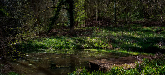 Knapp and Paper mill, Leigh Brook