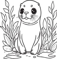Foca - Coloring page