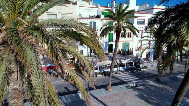 View of the beautiful beaches surrounded by Palm trees in Sitges Mediterranean landscape of the beach and hotels. Drone flying between palm trees scared away parrots. Province of Barcelona, Spain. 4K