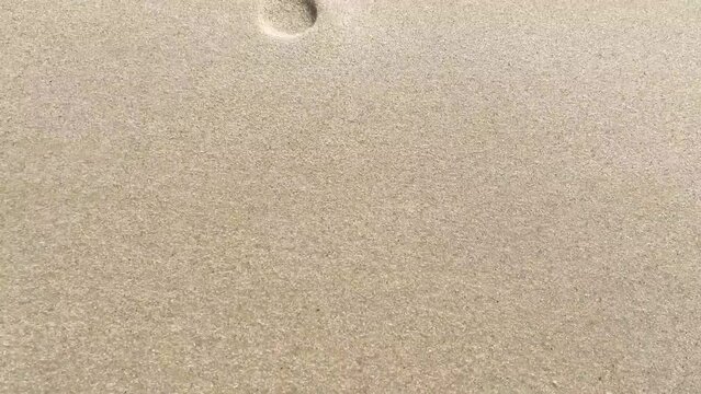 Footprints in the sand on the beach. The camera follows footprints in a large sand dune on the beach. 4k resolution video.