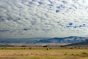 Fototapeta na wymiar Farm with cumulus clouds, Montana, USA