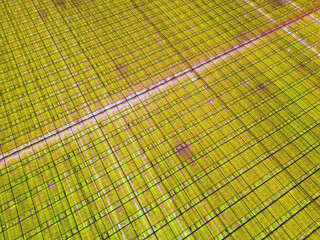 Greenhouses in the night,  aerial landscape