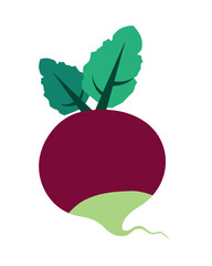 beet Fresh organic fruit and vegetable